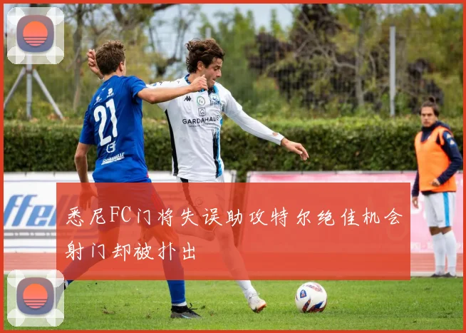 悉尼FC门将失误助攻特尔绝佳机会射门却被扑出
