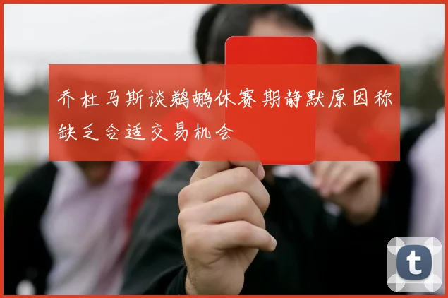 乔杜马斯谈鹈鹕休赛期静默原因称缺乏合适交易机会
