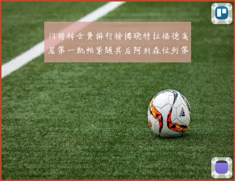 门将转会费排行榜揭晓特拉福德高居第一凯帕紧随其后阿利森位列第三